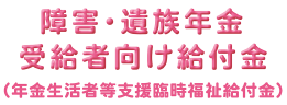 『障害・遺族年金受給者向け給付金』の画像