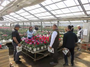 『水野谷園芸』の画像