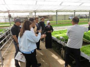 『グリーンファーム』の画像