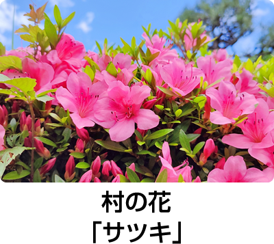 村の花「サツキ」