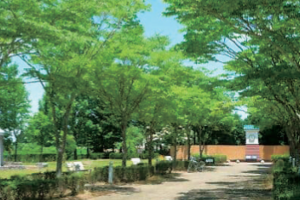 童里夢公園なかじま