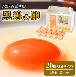 サンプル画像
