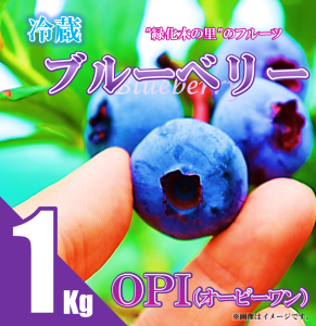 サンプル画像