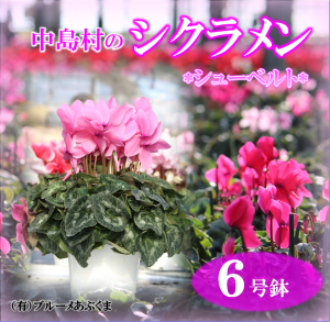 サンプル画像