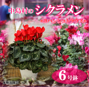 ヨハンシュトラウス