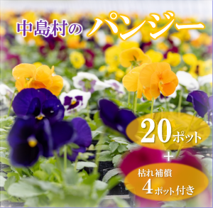 ヨハンシュトラウス