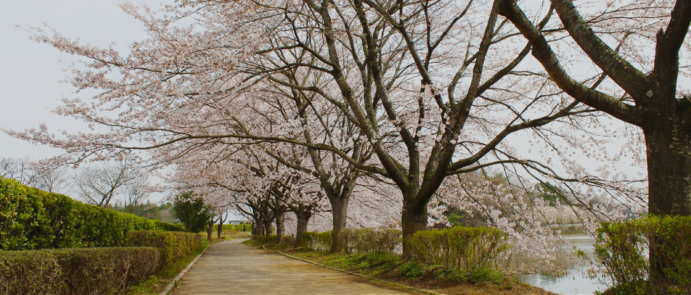 なかじまへきらっしぇ! 写真01